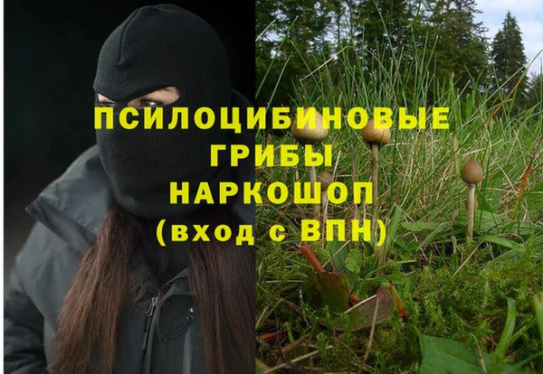 ешки Баксан