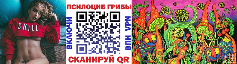 гидра tor Заводоуковск Псилоцибиновые грибы GOLDEN TEACHER