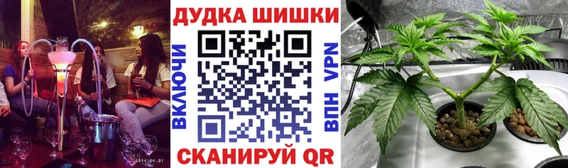 МАРИХУАНА семена  сколько стоит  гидра вход  Заводоуковск 